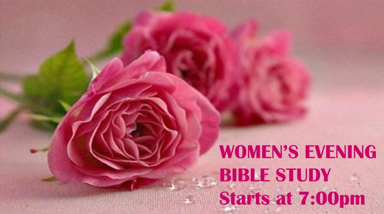 Women'sEveningBibleStudy